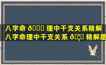 八字命 🐈 理中干支关系精解（八字命理中干支关系 🦋 精解是什么）